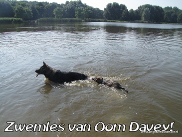 Davey leert Fee zwemmen